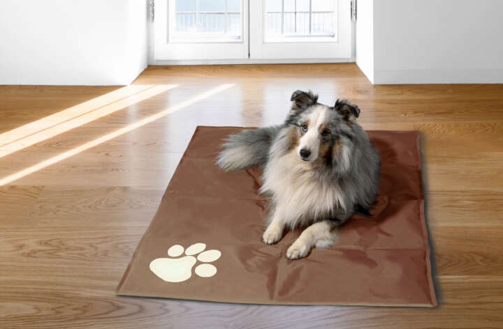 dobar Kühlmatte für Hunde mit Pfotenprint